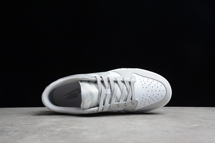 nike dunk low retro  dd1391-103
