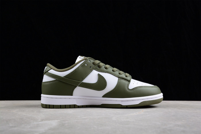 nike dunk low  dd1503-120