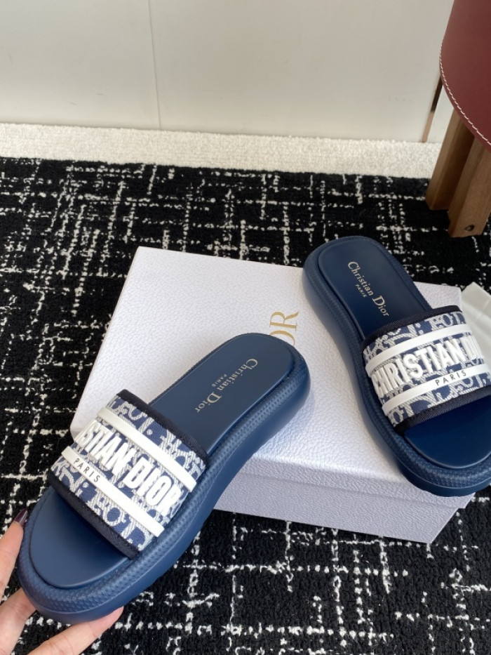 D10r slides ds-087