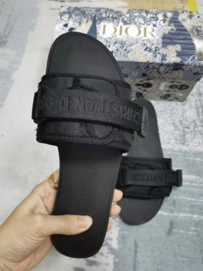 D10r slides ds-039
