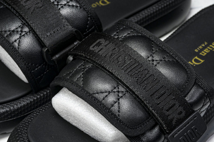 D10r slides ds-081