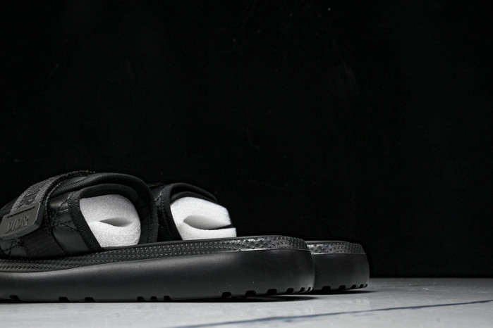 D10r slides ds-081