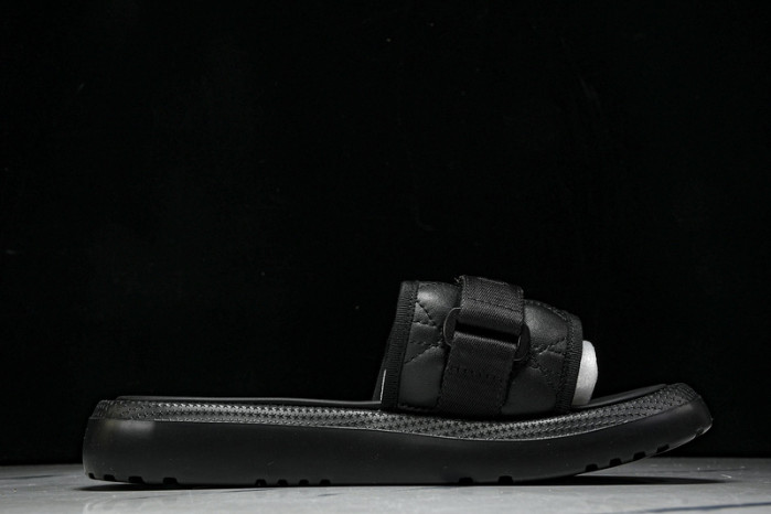 D10r slides ds-081