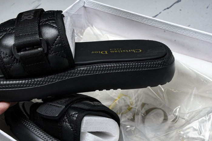 D10r slides ds-081