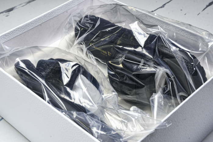 D10r slides ds-081