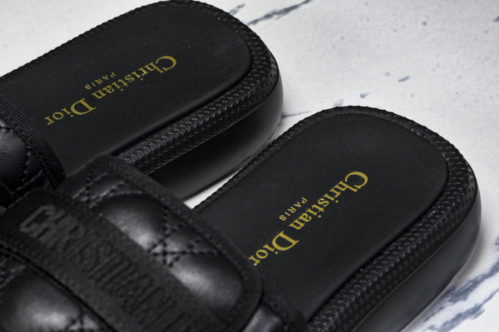 D10r slides ds-081