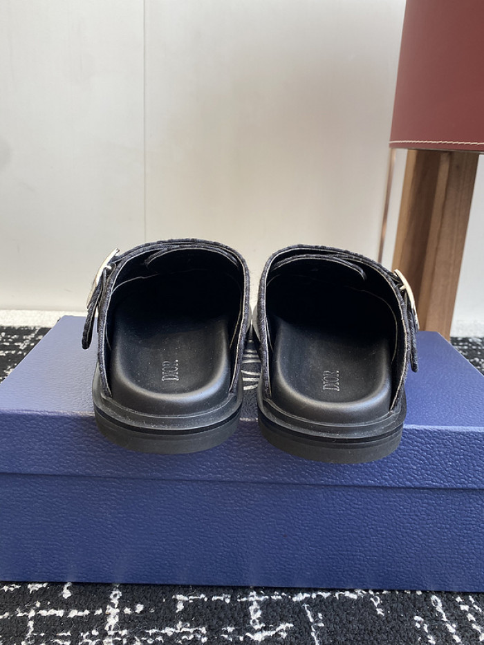 D10r slides ds-078