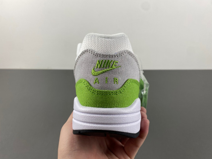Nike Air Max 1 HF1012-300