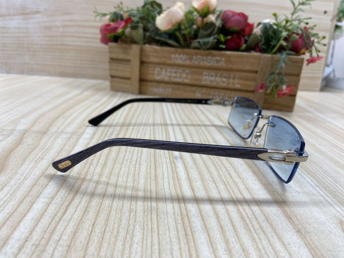 GLASSESS CT C-003