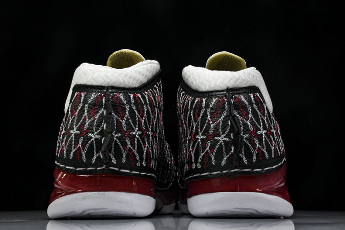 Titan x Air Jordan 23 318376-061