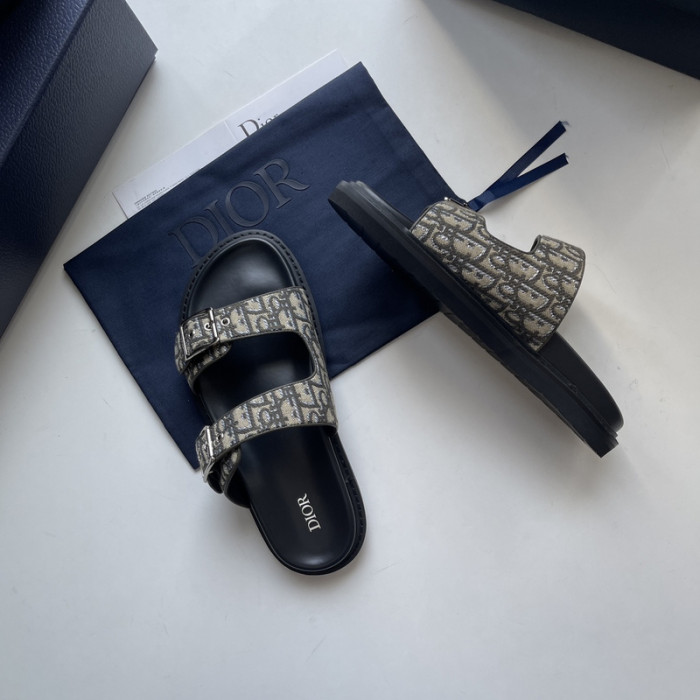 D10r slides ds-051