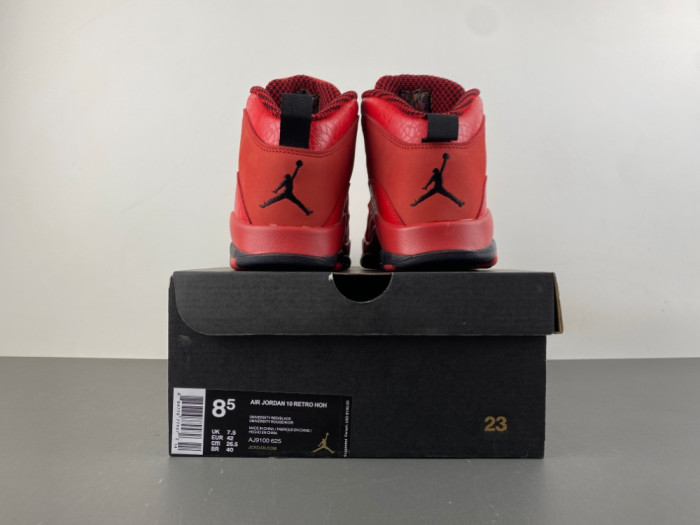 Steve Wiebe x Air Jordan 10 AJ9100-625