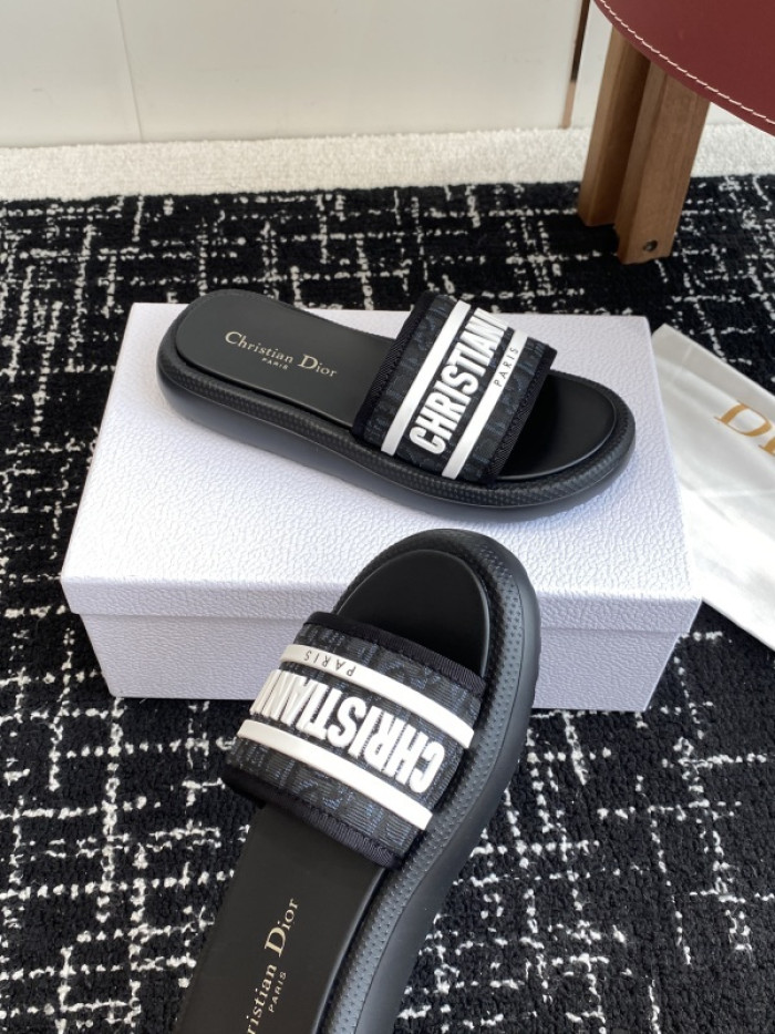 D10r slides ds-086