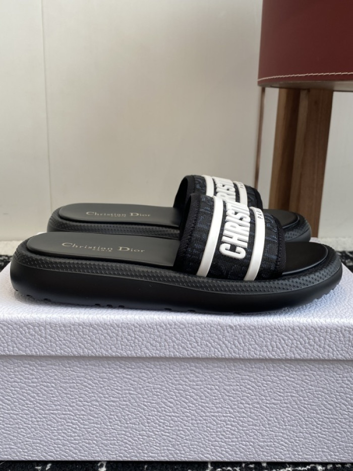 D10r slides ds-086