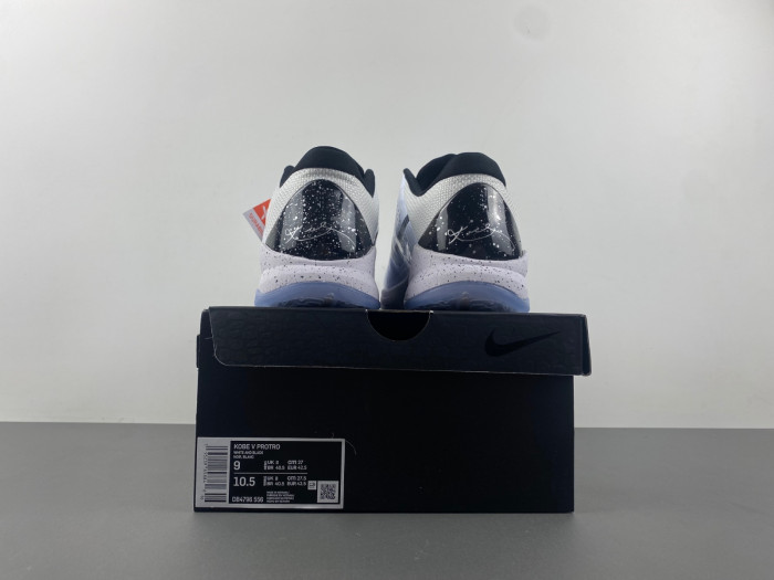 zoom kobe 5 protro 