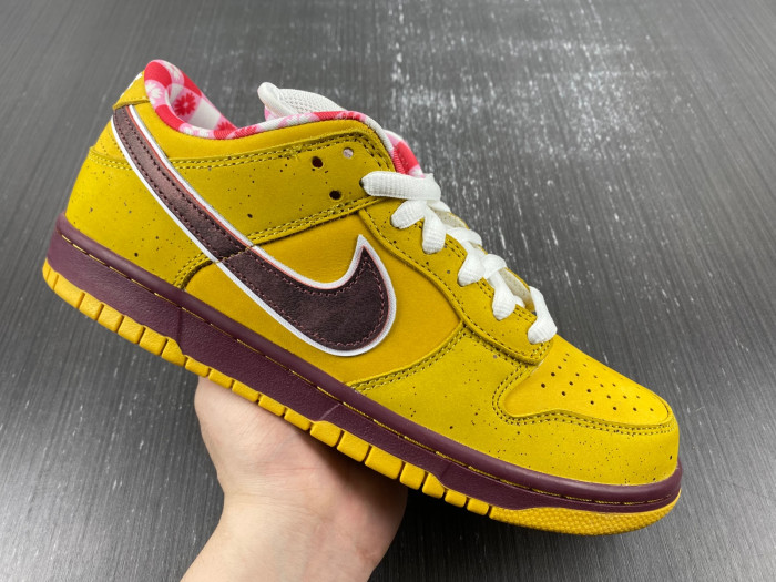 dunk low preM1vm sb 