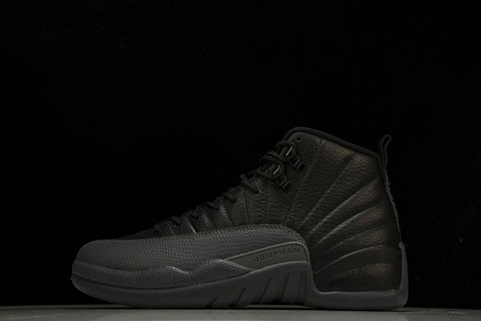 air jordan 12 ct8013-019