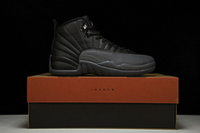 air jordan 12 ct8013-019