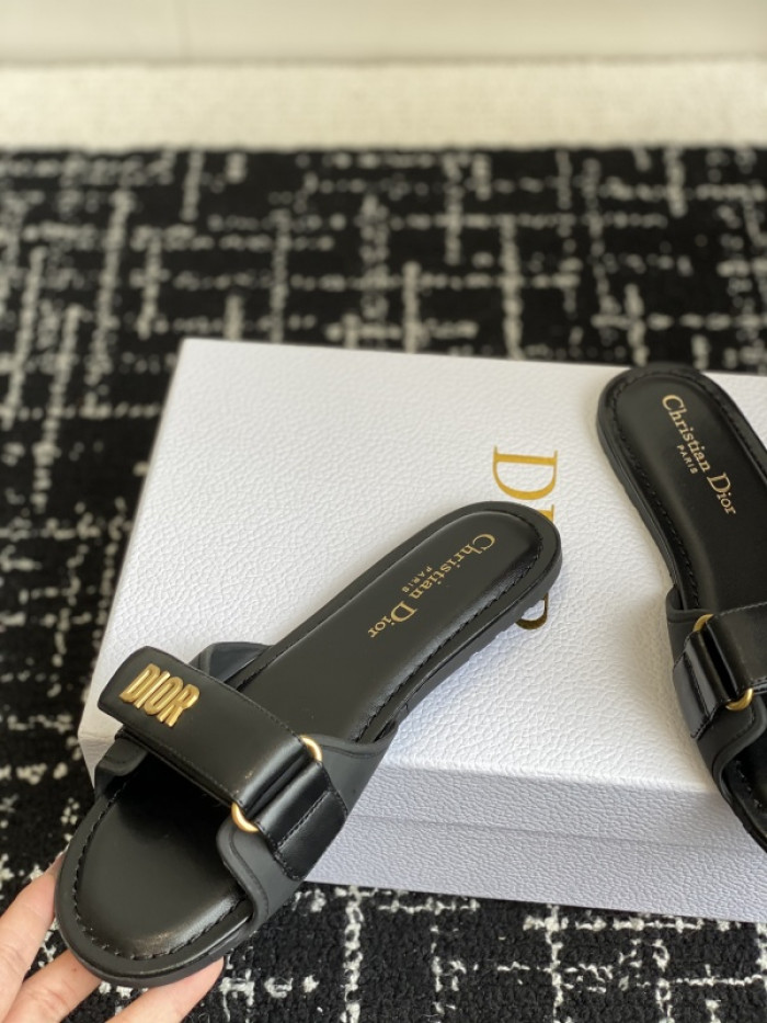 D10r slides ds-082