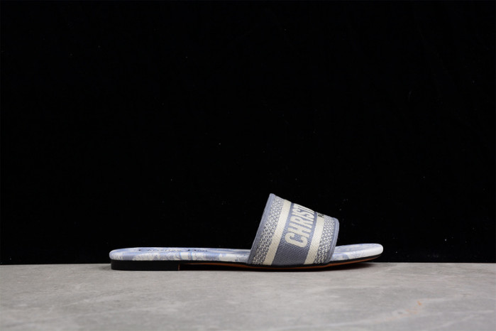 D*or slides ds-004