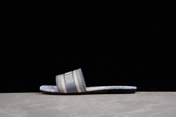 D*or slides ds-004