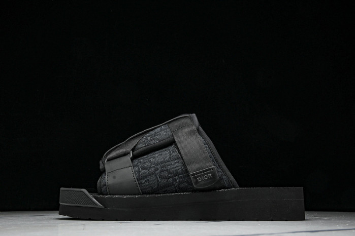 D10r slides ds-065