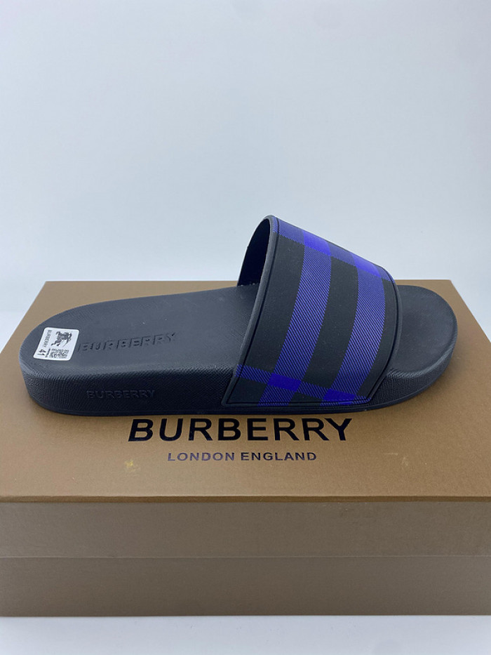 bur slide  burl-003