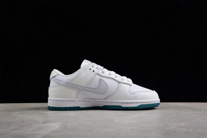nike sb dunk low  fd9911-101