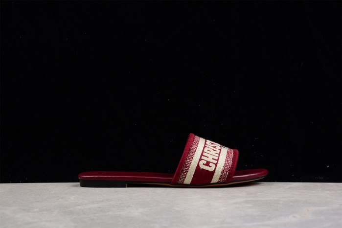 D*or slides ds-002