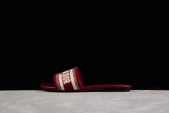 D*or slides ds-002