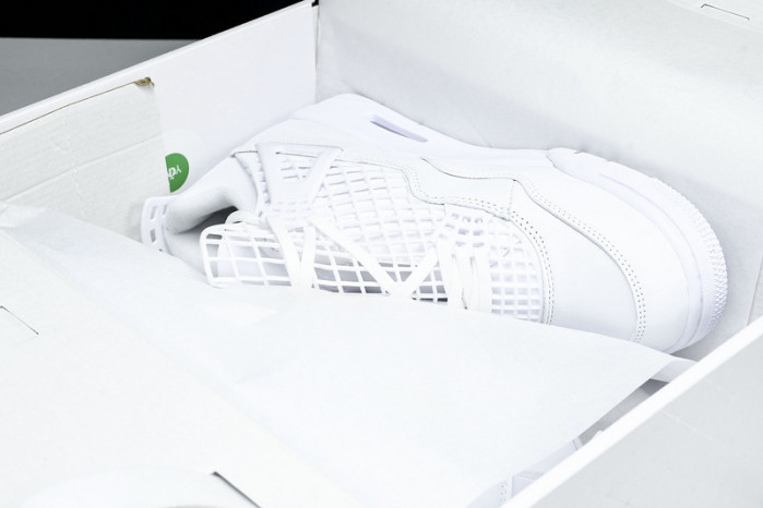 Air Jordan 4 FV7251-107