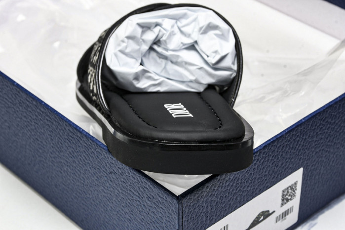 D10r slides ds-061