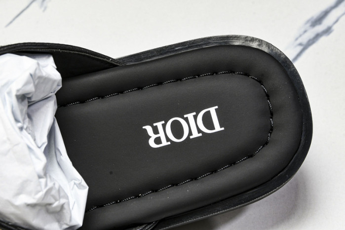 D10r slides ds-061