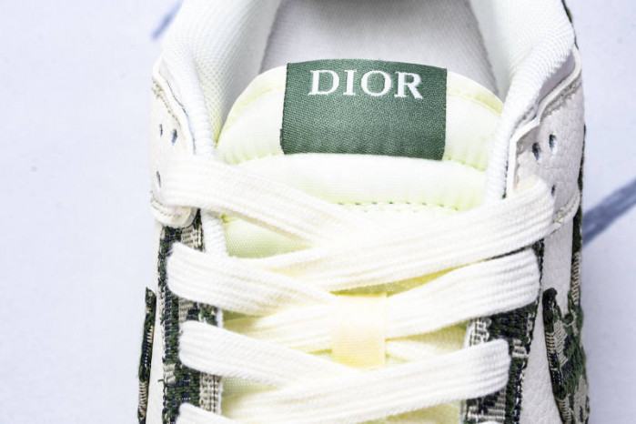 nike sb dunk low & D10r fc1688-226
