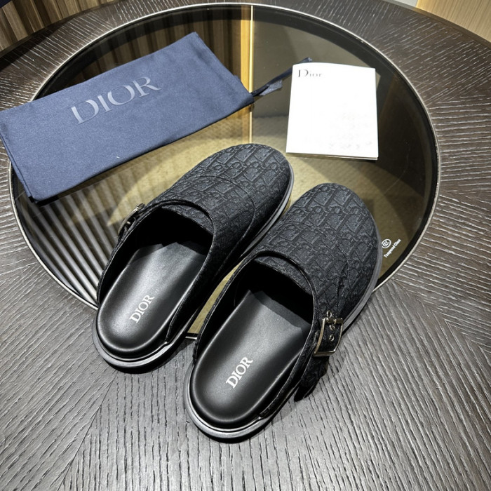 D10r slides ds-071