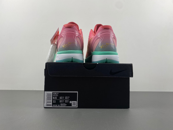 nike zoom kobe cm2190-201