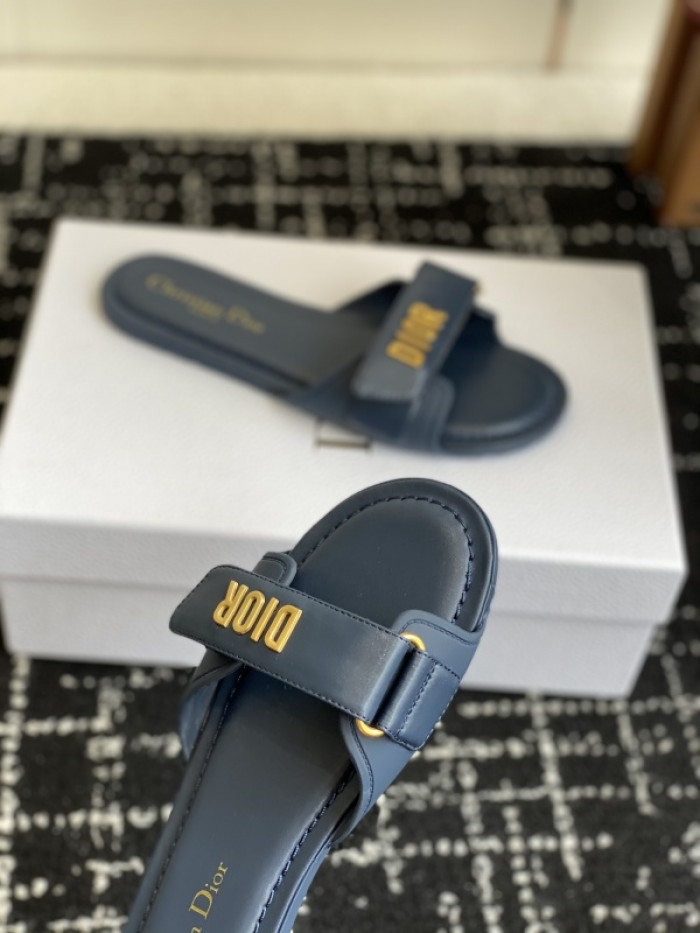 D10r slides ds-084
