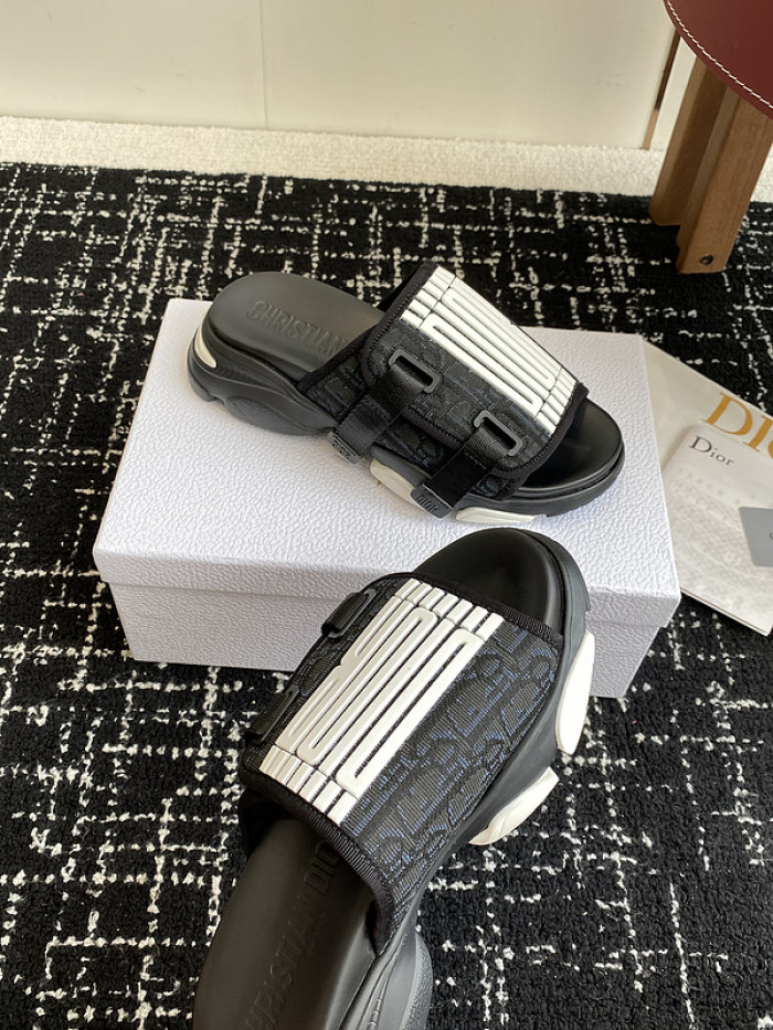 D10r slides ds-067