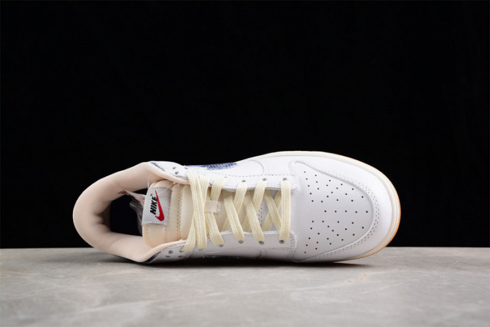 nk dunk low   fn6881-100