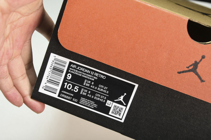 air jordan 12  dr8887-100